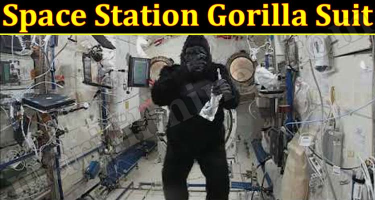 Space Station Gorilla Suit (January 2022) Know The Complete Details!