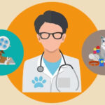 Important Things to Consider for a Basic Veterinary Medicine Career