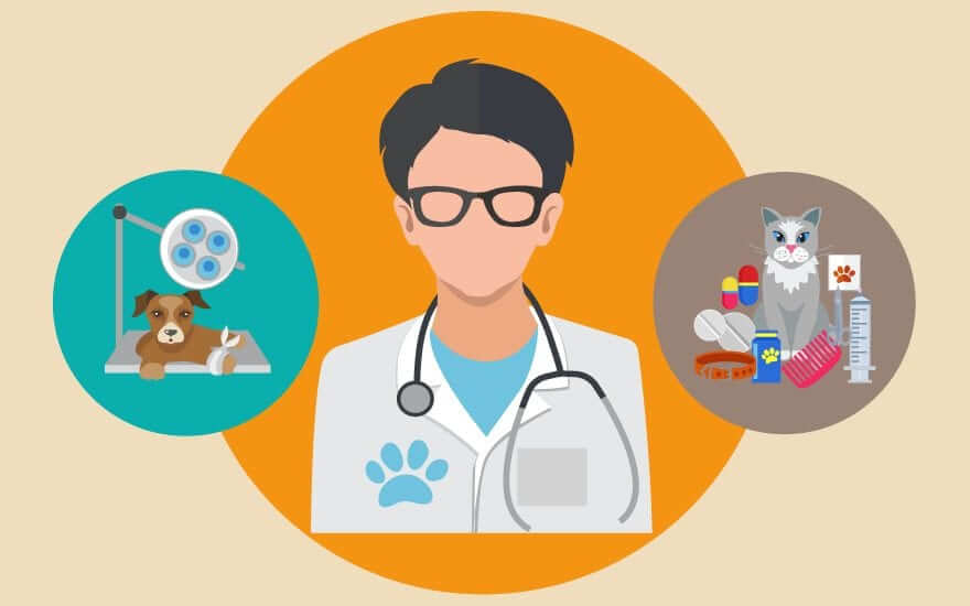 Important Things to Consider for a Basic Veterinary Medicine Career