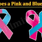 What Does a Pink and Blue Ribbon (January 2022) Know The Complete Details!