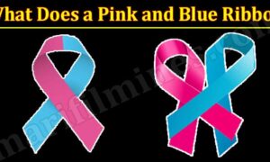 What Does a Pink and Blue Ribbon (January 2022) Know The Complete Details!