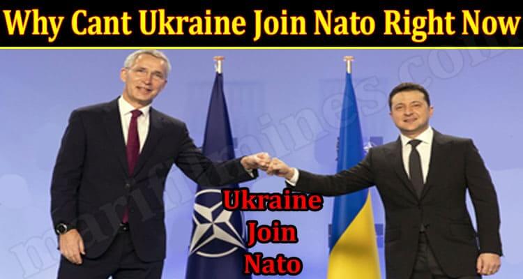 Why Cant Ukraine Join Nato Right Now (17/March/2022) Know The Complete Details!