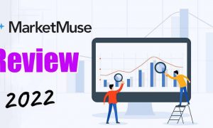 Equity Account Marketmuse Review (May 2022) Know The Complete Details!