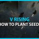 How to plant seeds in V Rising ? Know The Easy Way!