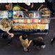 Street Food: In USA Taking New Trend