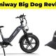 Himiway Big Dog Review
