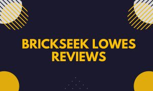 Brickseek Lowes Reviews (August 2022) Are Brickseek Lowes Deals Legit?