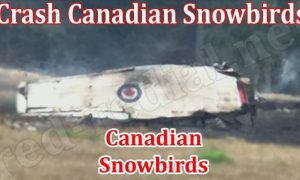 Crash Canadian Snowbirds (August 2022) Complete Details!