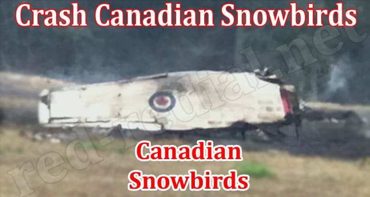 Crash Canadian Snowbirds (August 2022) Complete Details!