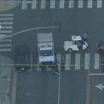 Santa Monica Hit And Run