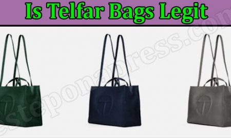 Is Telfar Bags Legit? (August 2022) Authentic Review!