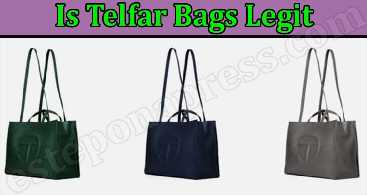 Is Telfar Bags Legit? (August 2022) Authentic Review!