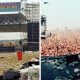 Did Anyone Die At Woodstock 99 (August 2022) Complete Details!