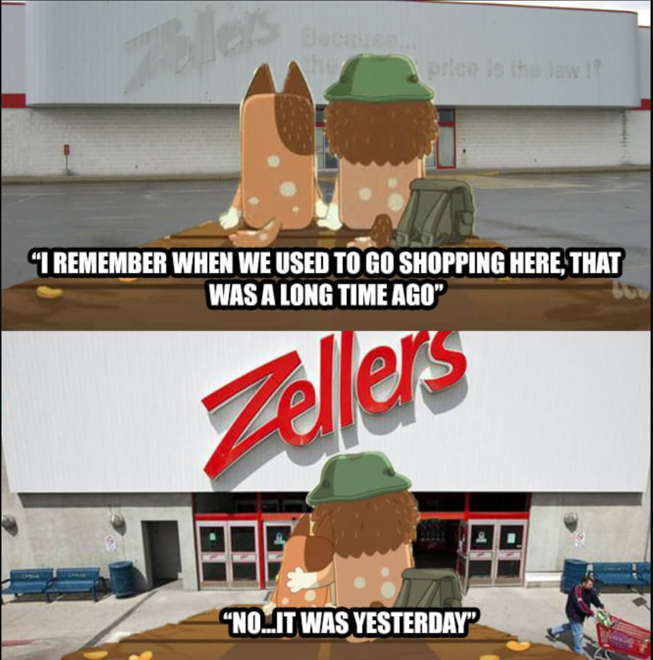 Is Zellers Coming Back? (August 2022) Complete Details!