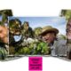 Joe Rohde discussing creativity, structure, and Pagoo